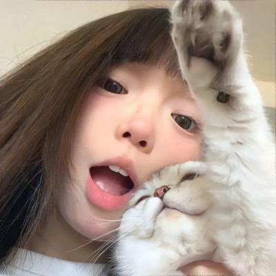 霸王拳