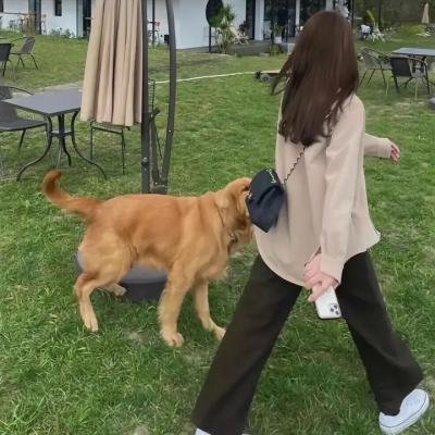坚强的心